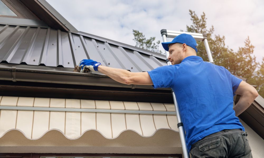 roof shingles