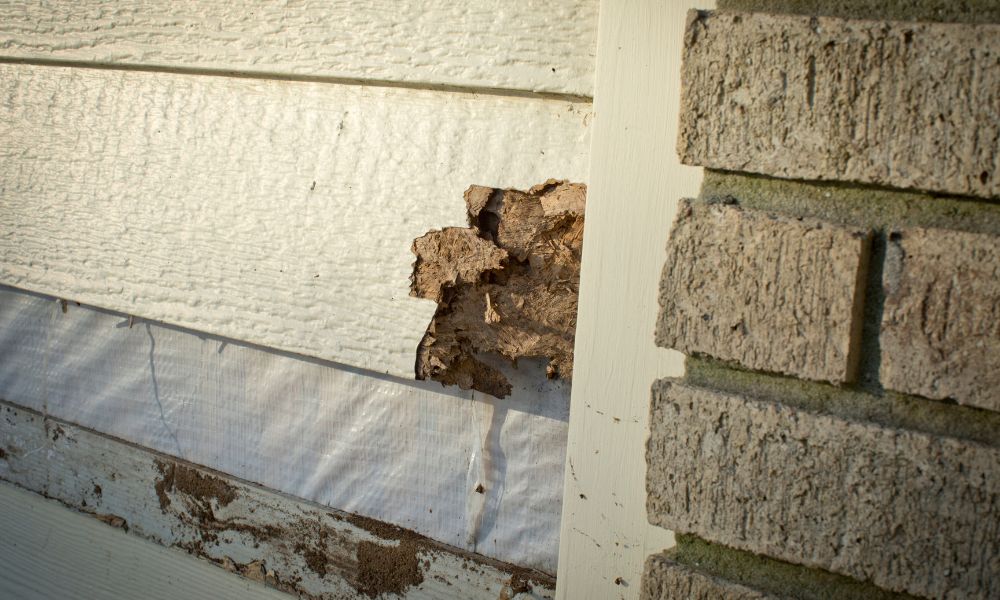 wood siding repair